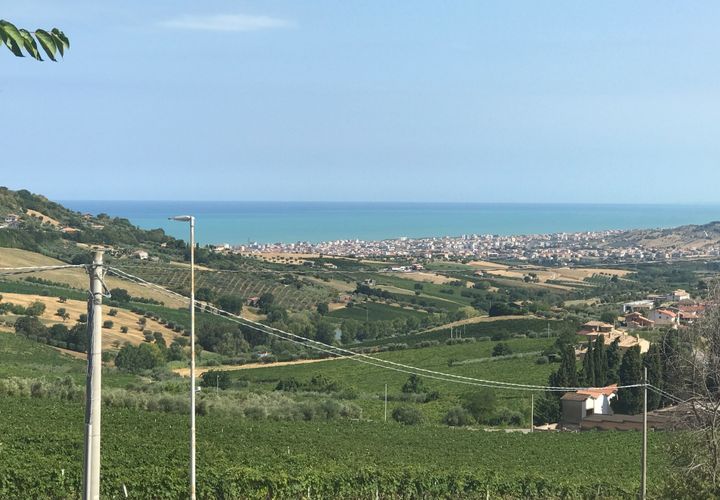 Erhvervsejendom i Colonnella, Teramo, Colonnella - € 240.000 | Ref: 6249 - foto 1