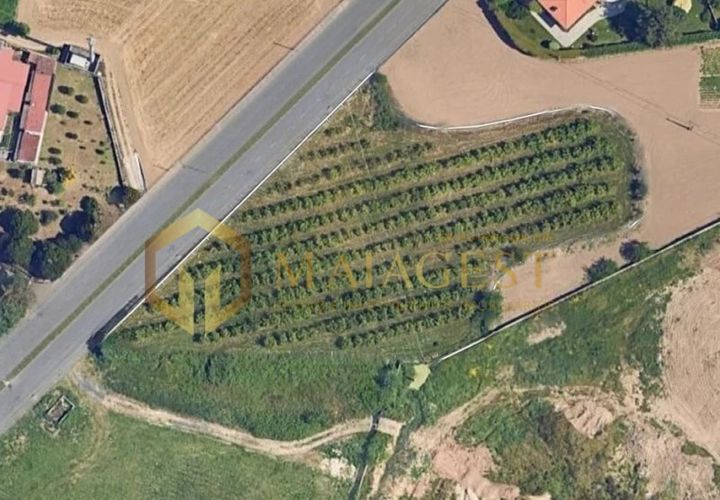 Helårsgrund i Maia, Porto, Maia - € 2.000.000 | Ref: mai_P251001 - foto 1