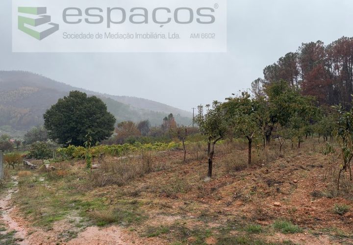 Erhvervsejendom i Paul, Castelo Branco, Paul - € 36.000 | Ref: 5895/CP - foto 1