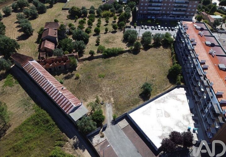 Terra a Anadia, Aveiro, Anadia - € 240.000 | Ref: 146588 - foto 1