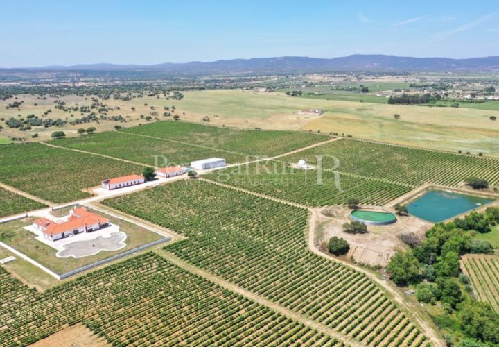 Landejendom i Redondo, Evora, Redondo - € 4.850.000 | Ref: FG435 - foto 1