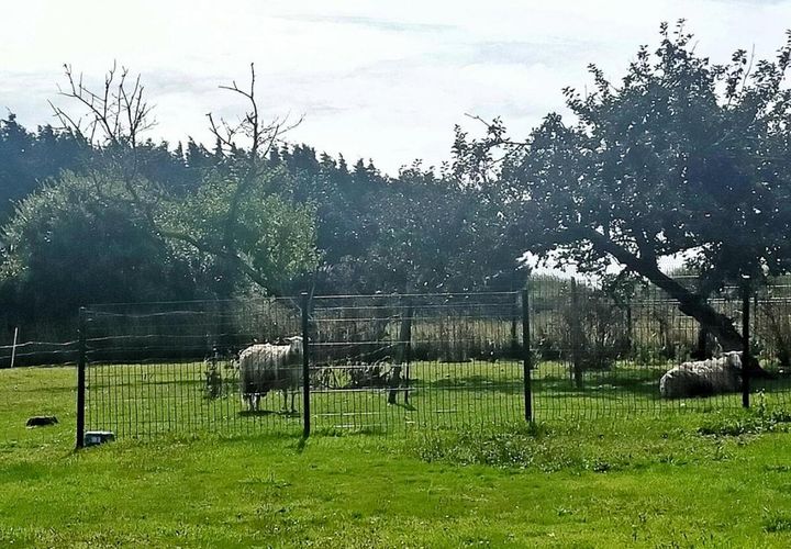 Villa i Plobannalec-Lesconil, Finistere, Plobannalec-Lesconil - € 313.400 | Ref: 84695 - foto 1