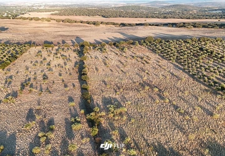 Tomt i Terrugem e Vila Boim, Portalegre, Terrugem e Vila Boim - € 61 875 | Ref: C0364-05073 - foto 1