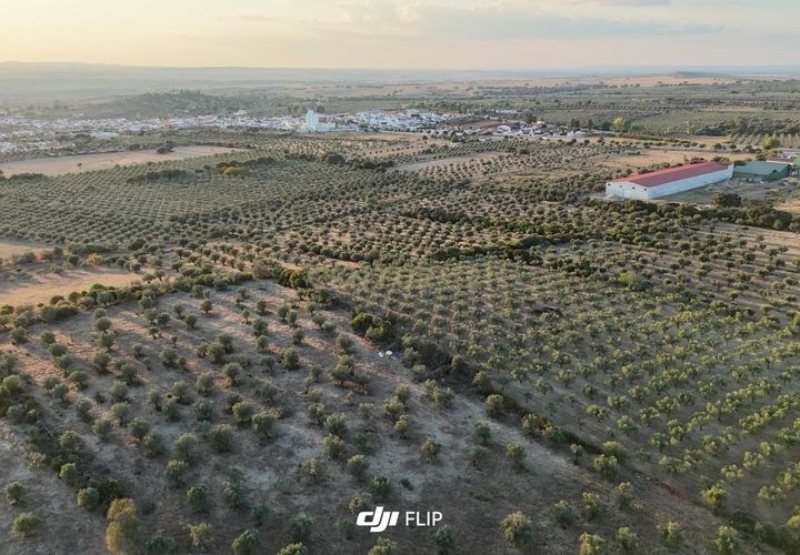 Tomt i Terrugem e Vila Boim, Portalegre, Terrugem e Vila Boim - € 50 625 | Ref: C0364-05102 - foto 1