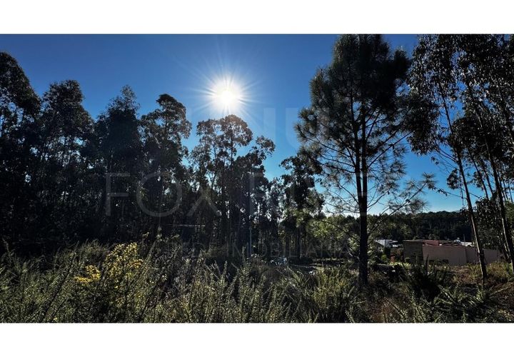 Helårsgrund i Valenca, Viana do Castelo, Valenca - € 55.000 | Ref: UNU-F1-03-111 - foto 1