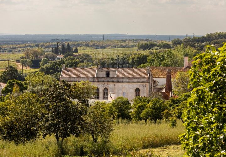Farm i Estremoz, Evora, Estremoz - € 1.450.000 | Ref: AG053 - foto 1
