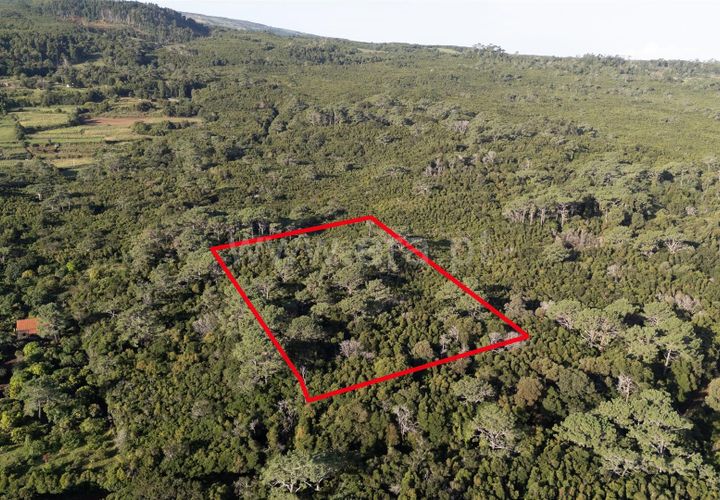 Helårsgrund i Sao Roque do Pico, Pico, Sao Roque do Pico - € 45.000 | Ref: 374250237 - foto 1