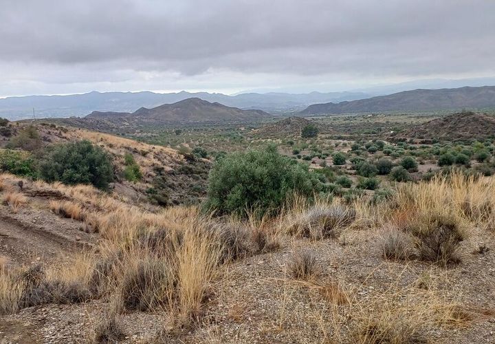 Terra a Urcal, Almeria, Urcal - € 5.000 | Ref: R22332 - foto 1