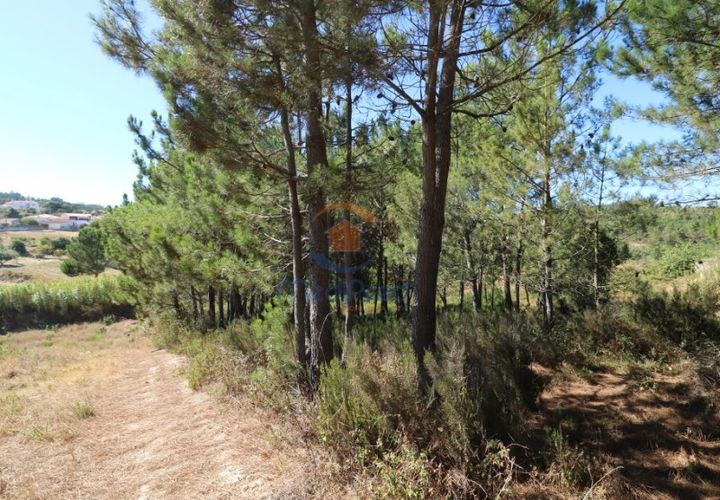 Helårsgrund i Matacaes, Lisbon, Matacaes - € 28.000 | Ref: MTL3112 - foto 1