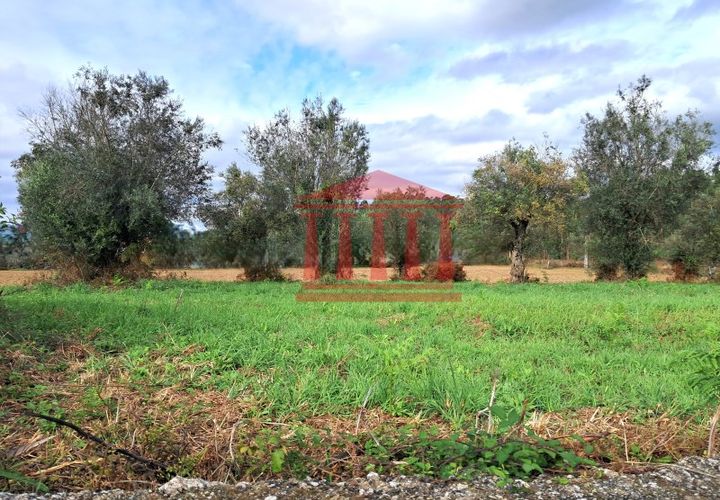 Helårsgrund i Barcelos, Braga, Barcelos - € 165.000 | Ref: 272T001068 - foto 1