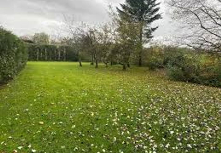 Tomt i Vertou, Loire-Atlantique, Vertou - € 194 000 | Ref: AA-012 - foto 1