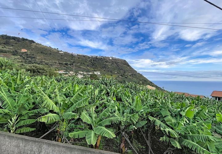 Helårsgrund i Arco da Calheta, Madeira, Arco da Calheta - € 360.000 | Ref: SF-SAFTI:007375 - foto 1