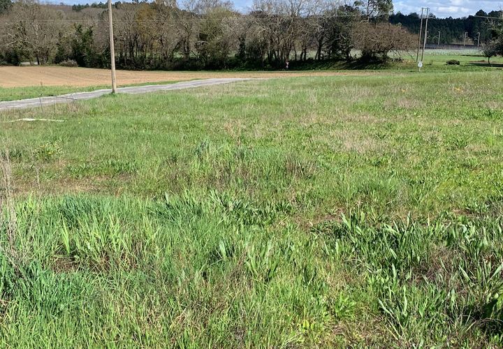 Terra a Pugnac, Gironde, Pugnac - € 48.700 | Ref: MZA-ATHCZARWL1 - foto 1