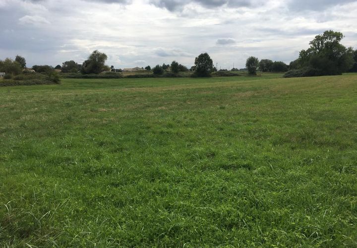 Terra a Gauriaguet, Gironde, Gauriaguet - € 78.700 | Ref: MZA-ATHGAUBOQ6 - foto 1