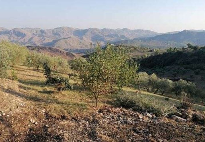 Villa a Cianciana, Agrigento, Cianciana - € 110.000 | Ref: RP-728018-728018 - foto 1