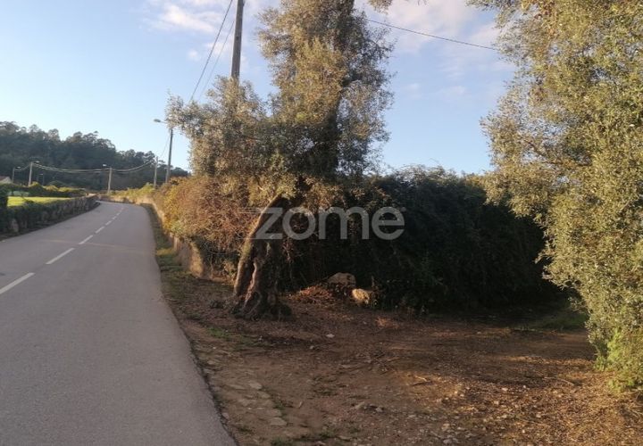 Terrain - Barcelos, Braga, Barcelos - € 110 000 | Réf : ZMPT582257 - photo 1