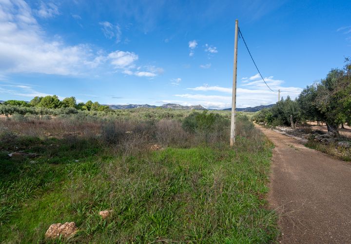 Finca i La Senia, Tarragona, La Senia - € 12.000 | Ref: 297 - foto 1
