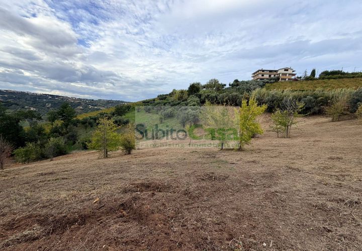 Terra a Bucchianico, Chieti, Bucchianico - € 15.000 | Ref: E 397 - foto 1
