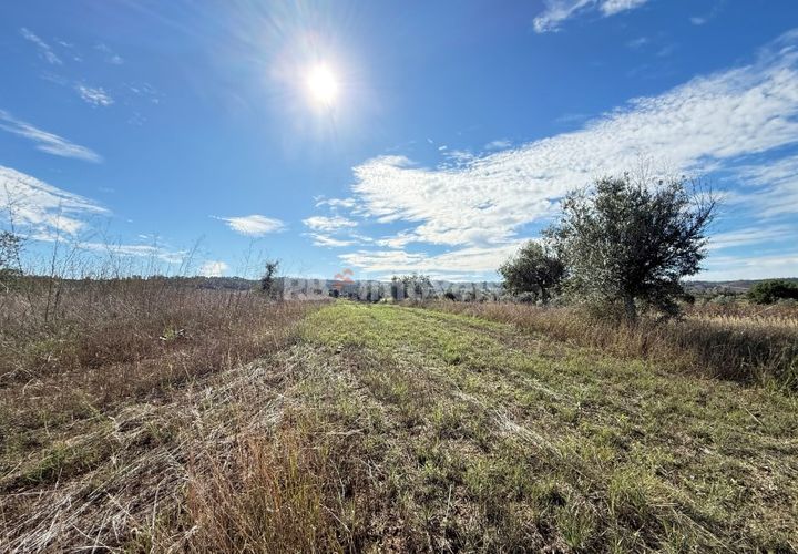 Helårsgrund i Abrantes, Santarem, Abrantes - € 6.500 | Ref: 01793-25 - foto 1