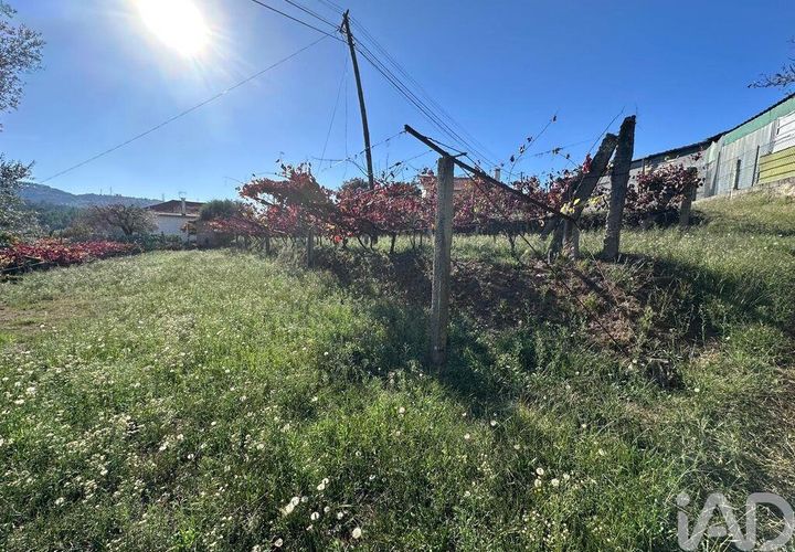 Helårsgrund i Ponte de Lima, Viana do Castelo, Ponte de Lima - € 114.000 | Ref: 722833 - foto 1