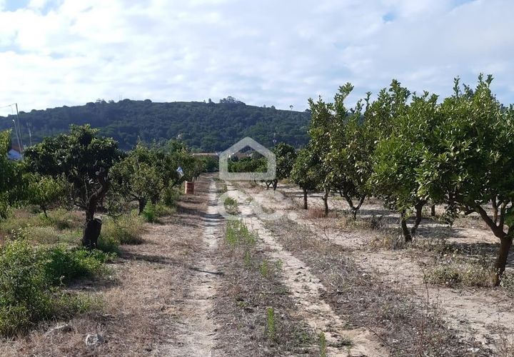 Helårsgrund i Palmela, Setubal, Palmela - € 409.000 | Ref: 407/T/00028 - foto 1