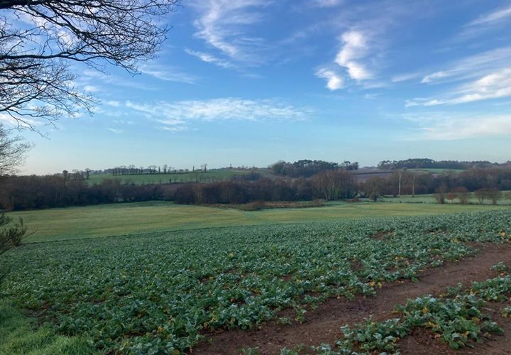 Terra a Pluvigner, Morbihan, Pluvigner - € 70.520 | Ref: 8885 - foto 1