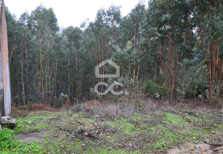Helårsgrund i Penafiel, Porto, Penafiel - € 45.000 | Ref: 365/T/03236 - foto 1