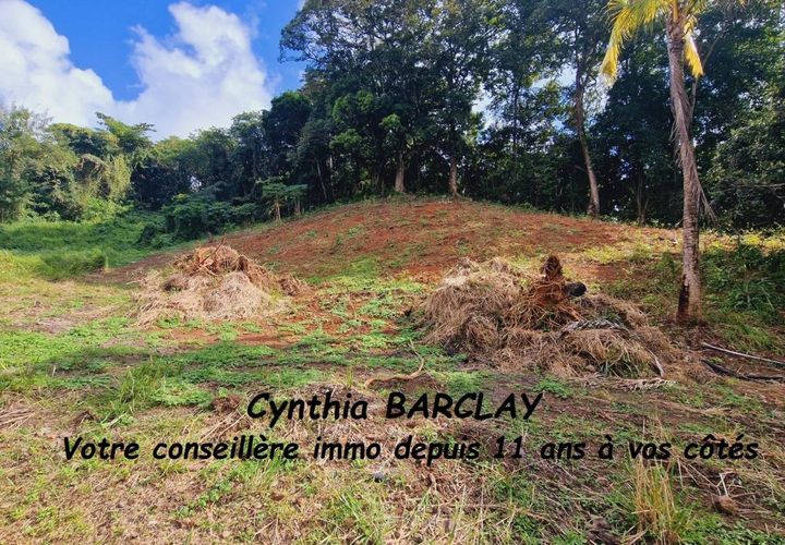 Terra a Le Frasnois, Martinique, Le Frasnois - € 230.880 | Ref: 3011434158 - foto 1