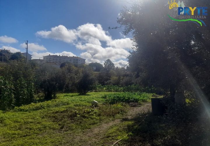 Helårsgrund i Proenca-a-Nova, Castelo Branco, Proenca-a-Nova - € 75.000 | Ref: SO12 - foto 1
