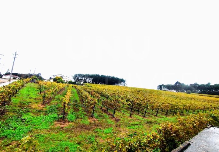 Helårsgrund i Moncao, Viana do Castelo, Moncao - € 493.000 | Ref: F1-08-11 - foto 1