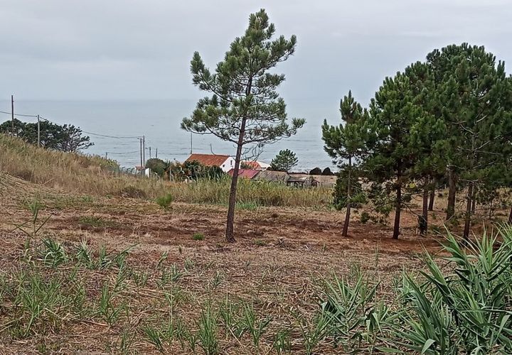 Rækkehus i Nazare, Leiria, Nazare - € 500.000 | Ref: HAB_4 - foto 1