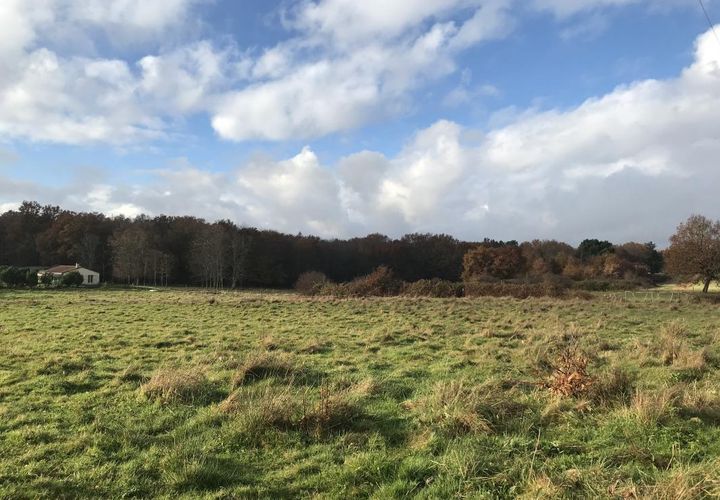Helårsgrund i Lanquais, Dordogne, Lanquais - € 17.000 | Ref: BECF737 - foto 1