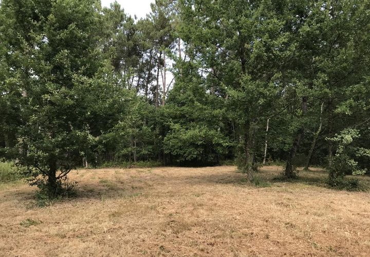 Terra a Prigonrieux, Dordogne, Prigonrieux - € 22.000 | Ref: BECF728 - foto 1