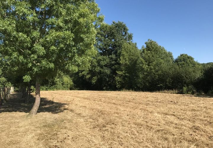 Helårsgrund i Saint-Nexans, Dordogne, Saint-Nexans - € 35.000 | Ref: BECF725 - foto 1