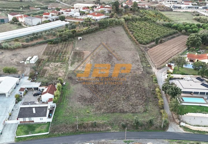Terra a Alcobaca, Leiria, Alcobaca - € 160.000 | Ref: 0093 - foto 1