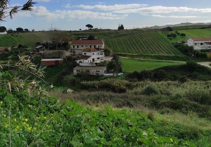 Terra a Alenquer, Lisbon, Alenquer - € 59.000 | Ref: 71548 - foto 1