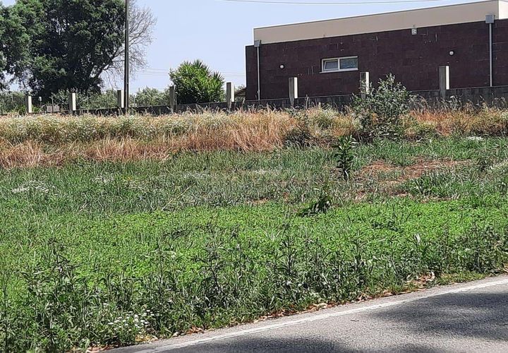 Helårsgrund i Vagos, Aveiro, Vagos - € 44.500 | Ref: C0385-00409 - foto 1