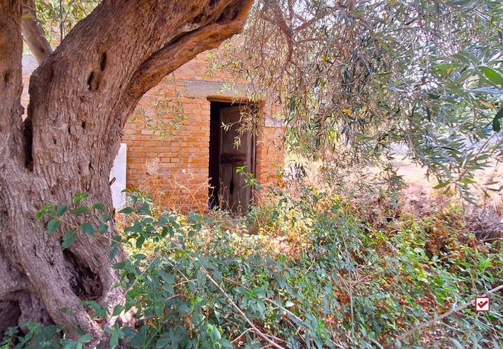 Landejendom i Messina, Messina, Messina - € 36.000 | Ref: VSP329 - foto 1