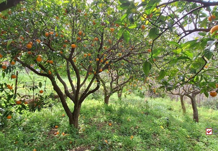 Helårsgrund i Rometta, Messina, Rometta - € 20.000 | Ref: VSP330 - foto 1