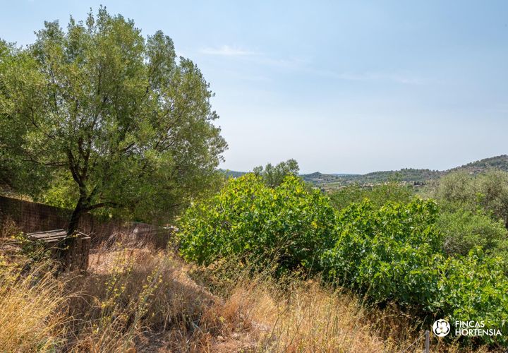 Terra a Alaro, Mallorca, Alaro - € 650.000 | Ref: VGA22525/13188 - foto 1