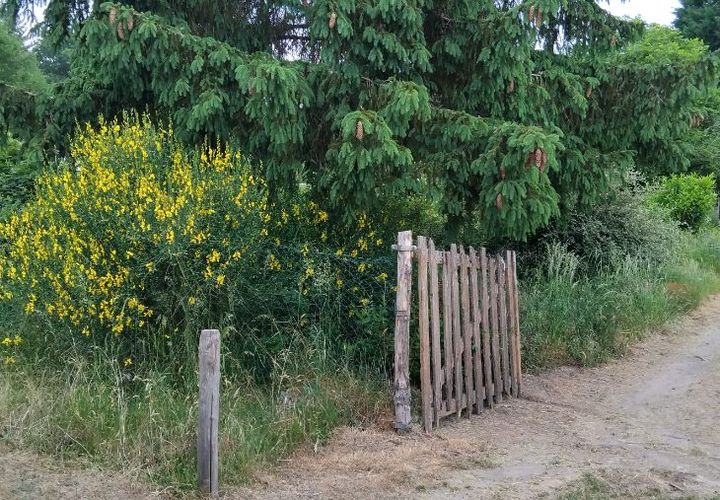Tomt i Les Bordes, Loiret, Les Bordes - € 19 000 | Ref: 427485NMA - foto 1