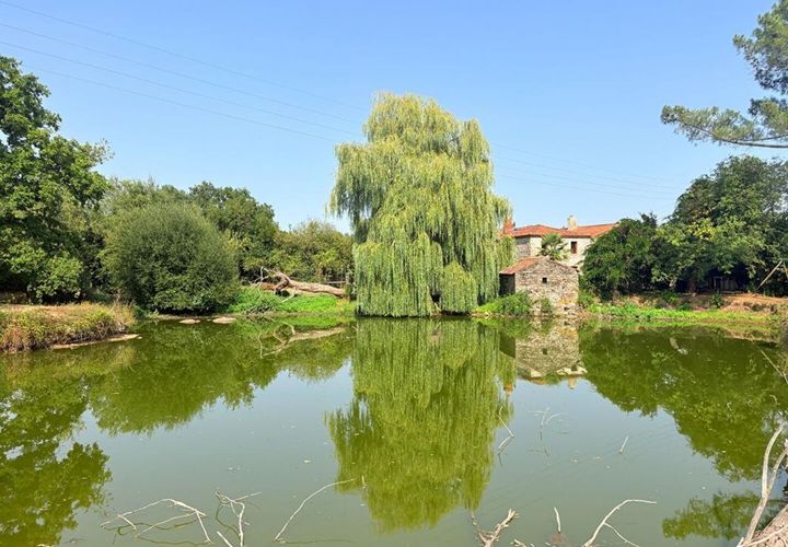 Villa i Cugand, Vendee, Cugand - € 230.000 | Ref: 417984CMOC - foto 1