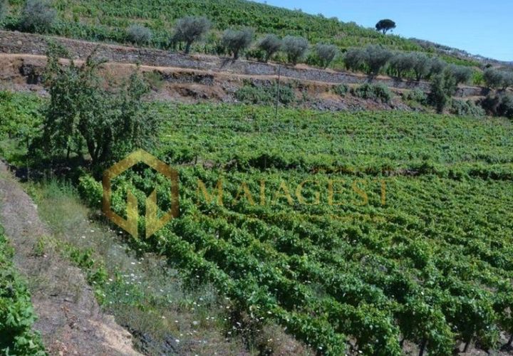 Farm i Peso da Regua, Vila Real, Peso da Regua - € 395.000 | Ref: vid_P251101 - foto 1