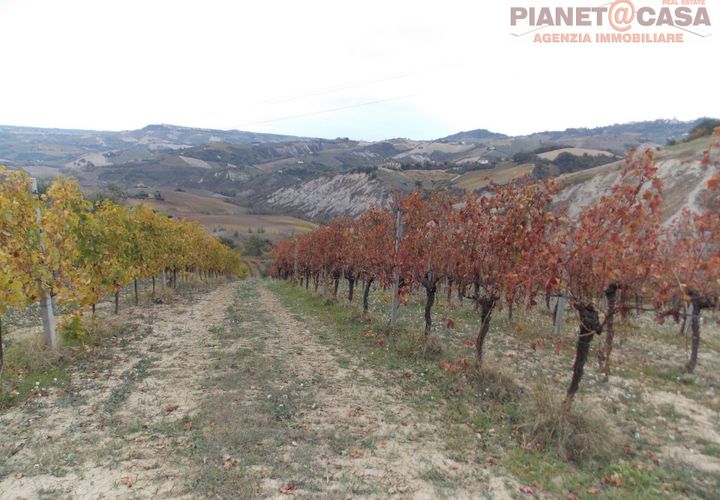 Helårsgrund i Ripatransone, Ascoli Piceno, Ripatransone - € 90.000 | Ref: VS2753 - foto 1