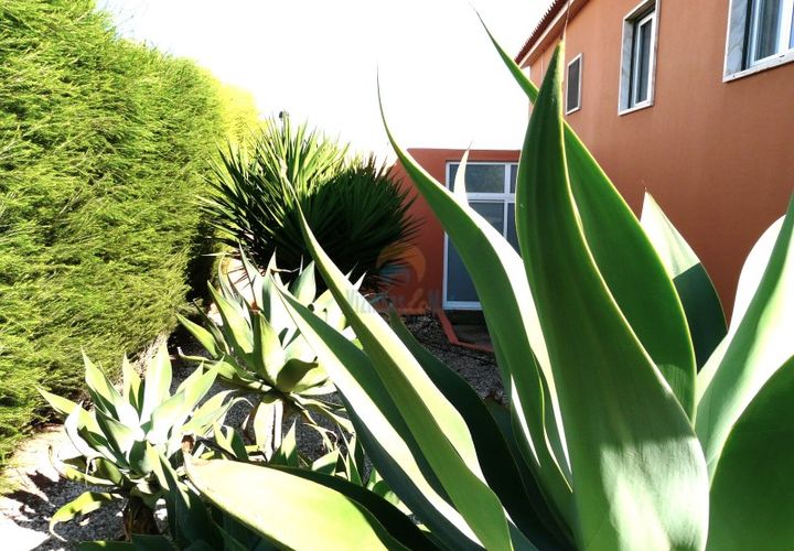 Villa - Mafra, Lisbon, Mafra - € 548 000 | Réf : 752MD - photo 1