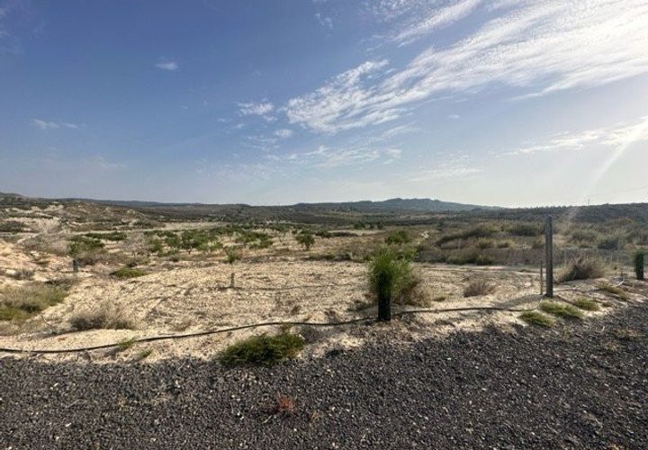 Helårsgrund i Torremendo, Alicante, Torremendo - € 175.000 | Ref: AG19MLSC163098 - foto 1