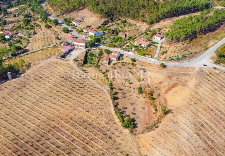Farm i Macao, Santarem, Macao - € 330.000 | Ref: SA521 - foto 1