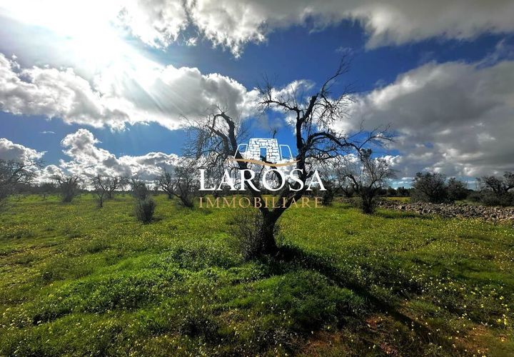 Erhvervsejendom i Vernole, Lecce, Vernole - € 25.000 | Ref: cod.169 - foto 1