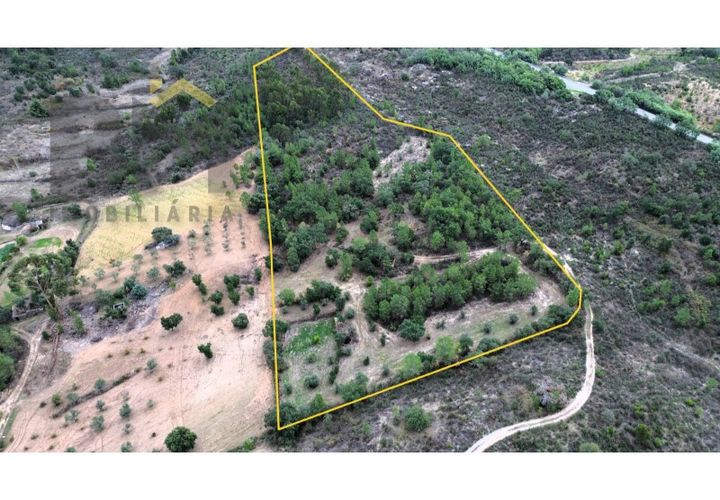 Farm i Castelo Branco, Castelo Branco, Castelo Branco - € 46.500 | Ref: 4972 - foto 1