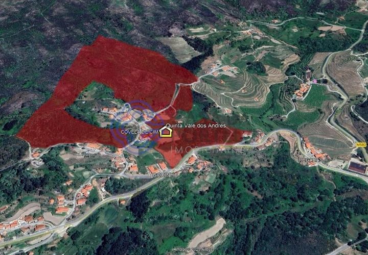 Farm i Baiao, Porto, Baiao - € 590.000 | Ref: 1116241 - foto 1
